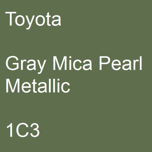 Toyota, Gray Mica Pearl Metallic, 1C3.